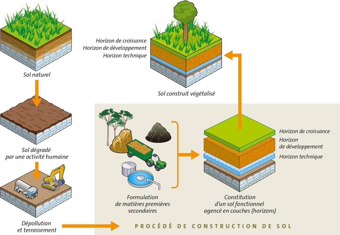 Carnet de chantier : métamorphose d'un sous-sol en galerie climatique